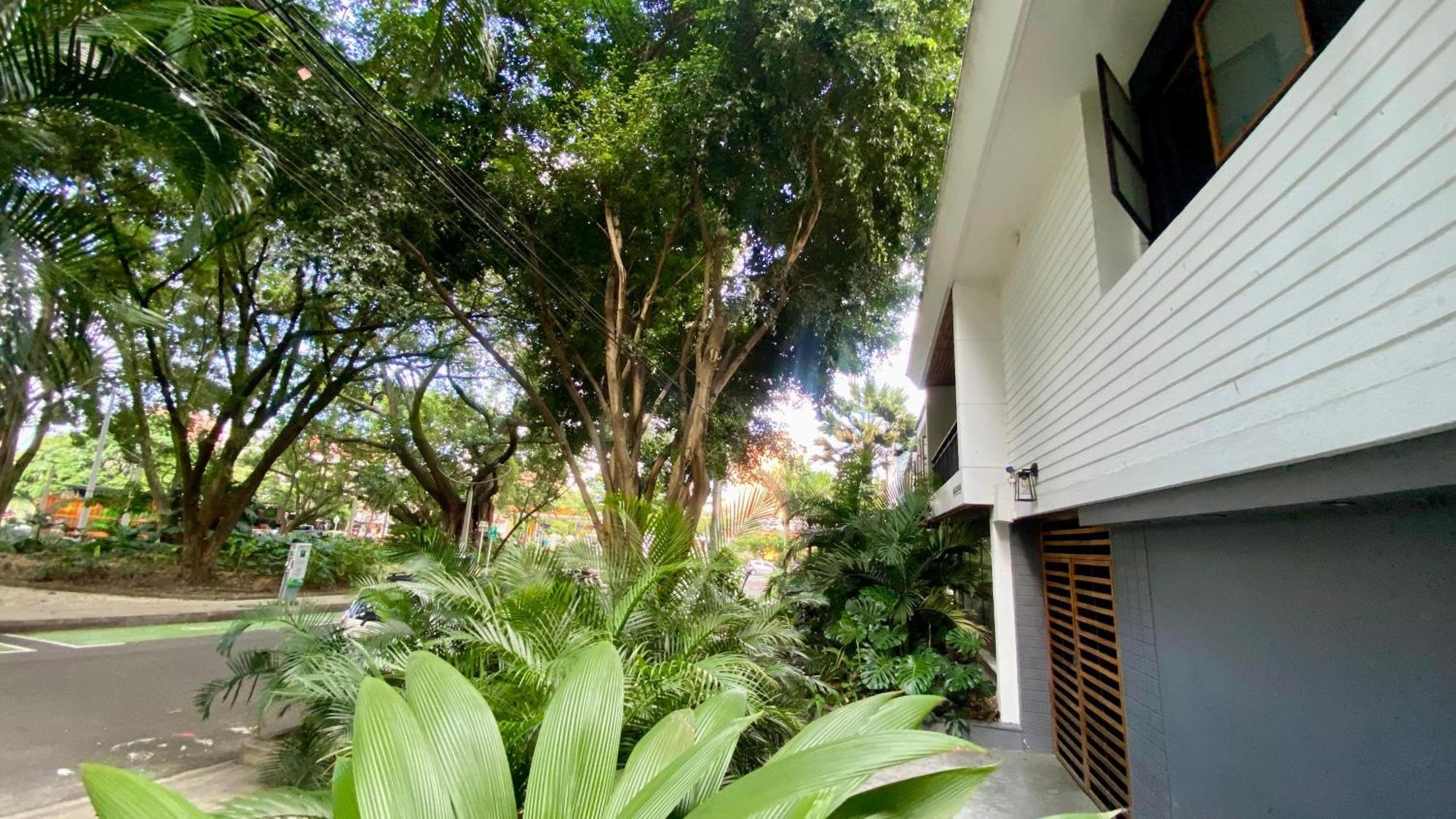 Casa Mosaiko Primer Parque Laureles Medellín