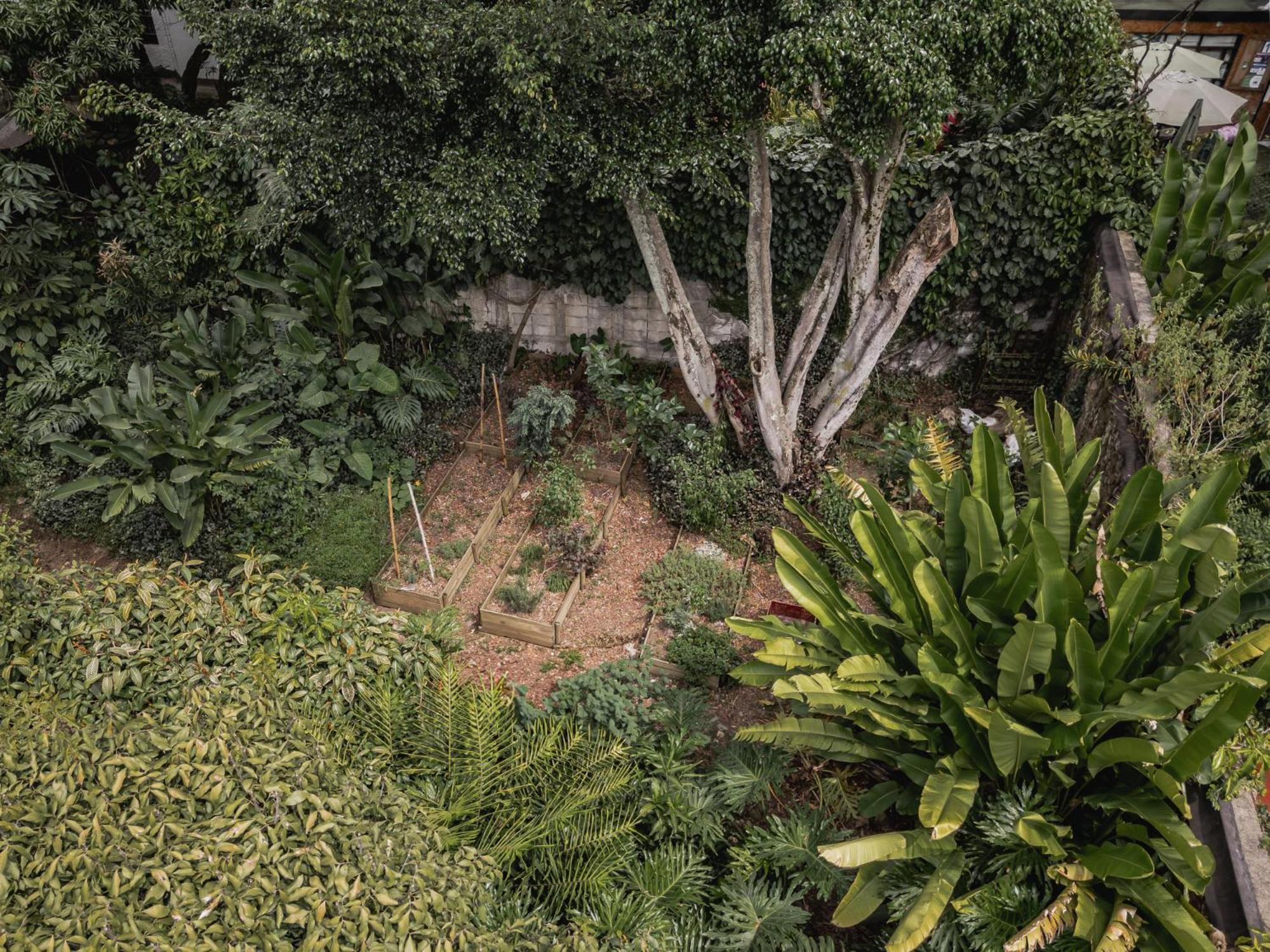 Ep Casa Uribe Architecture Art & Nature Medellín