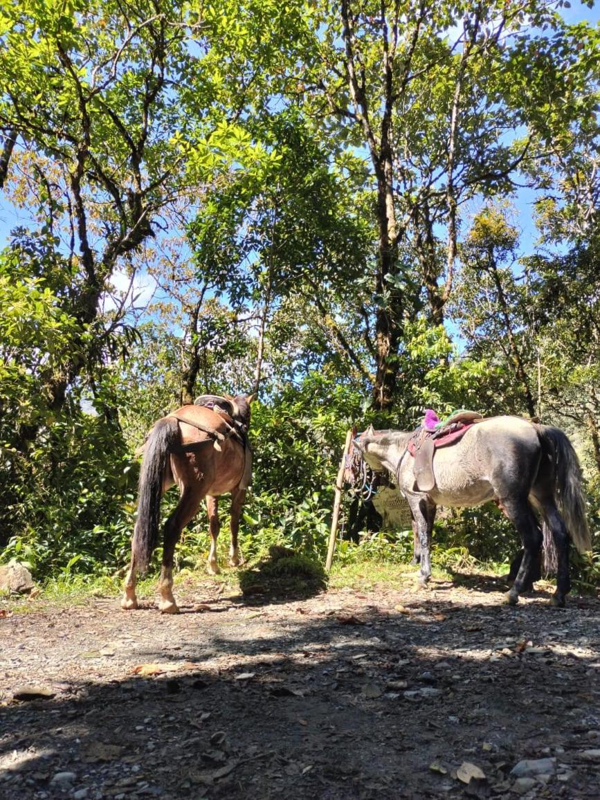 Campo de lujo Sierra De Viboral Adventures *