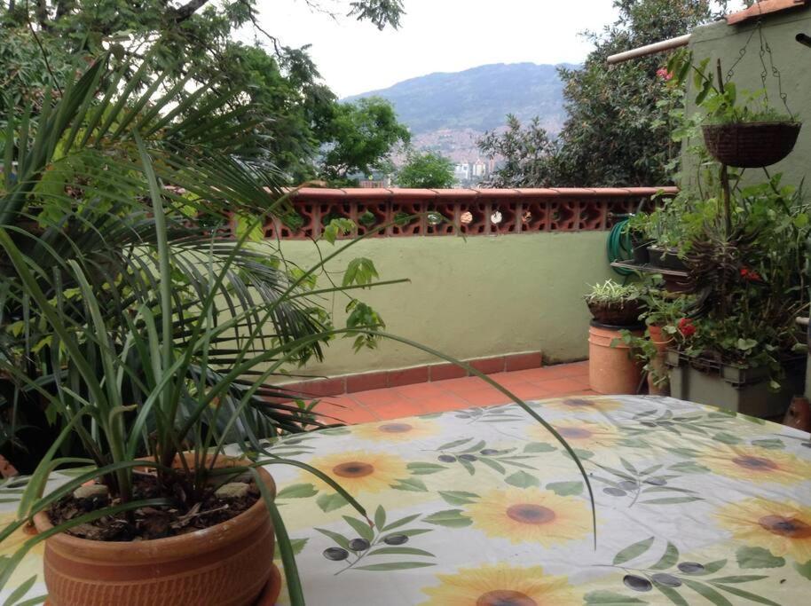 Apartamento-galeria De Arte Cielo Y Tierra Medellín