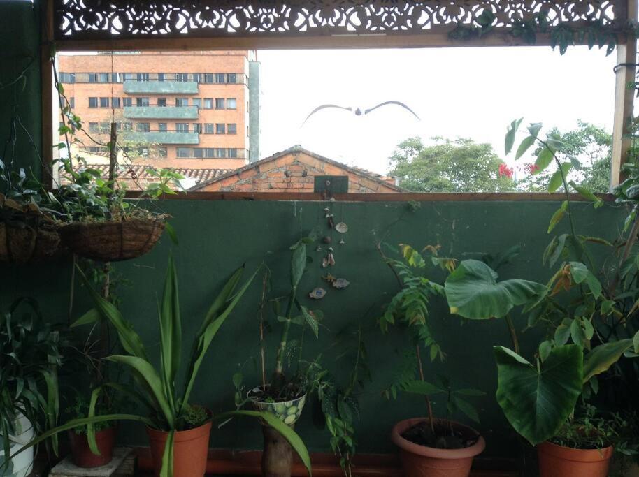 Apartamento Apartamento-galeria De Arte Cielo Y Tierra
