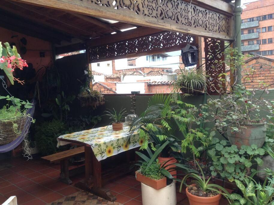 Apartamento-galeria De Arte Cielo Y Tierra Apartamento
