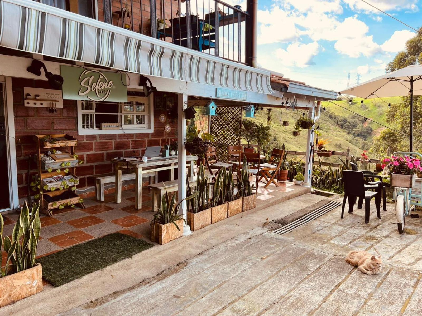 Selene Coworking Cafe * Medellín