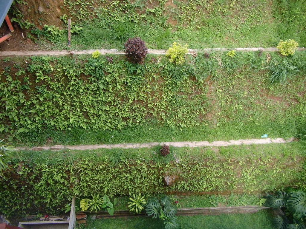 Habitación en casa particular En Apto Los Ositos Medellín