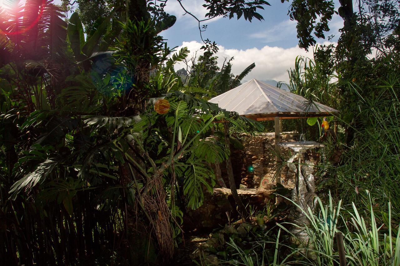 The Secret Buddha Lodge