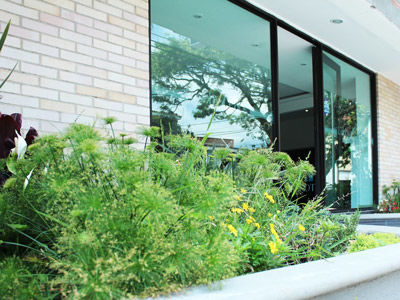 Hotel Lobby Park
