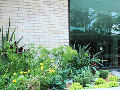 Hotel Lobby Park