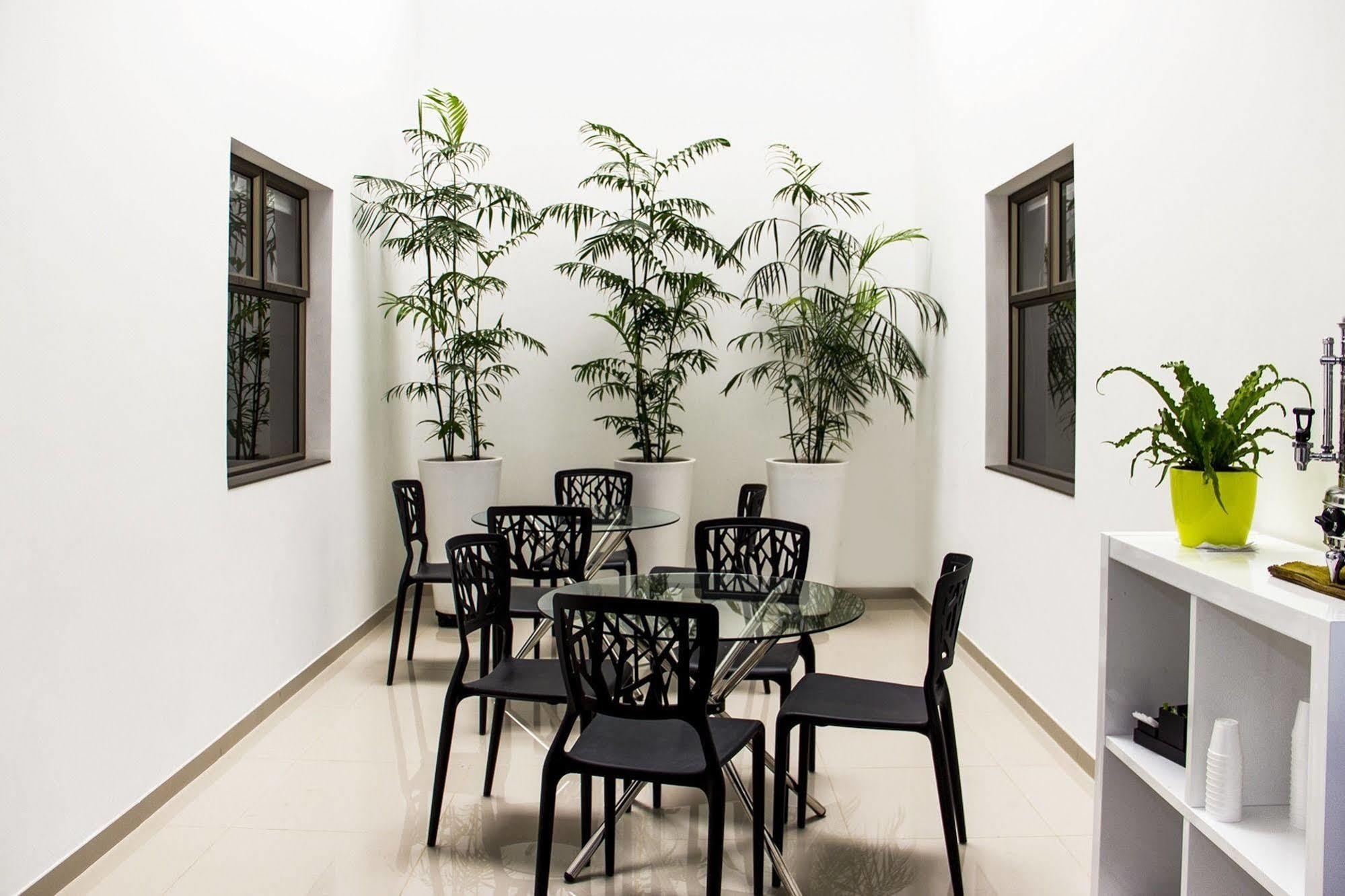 Hotel Zona A
