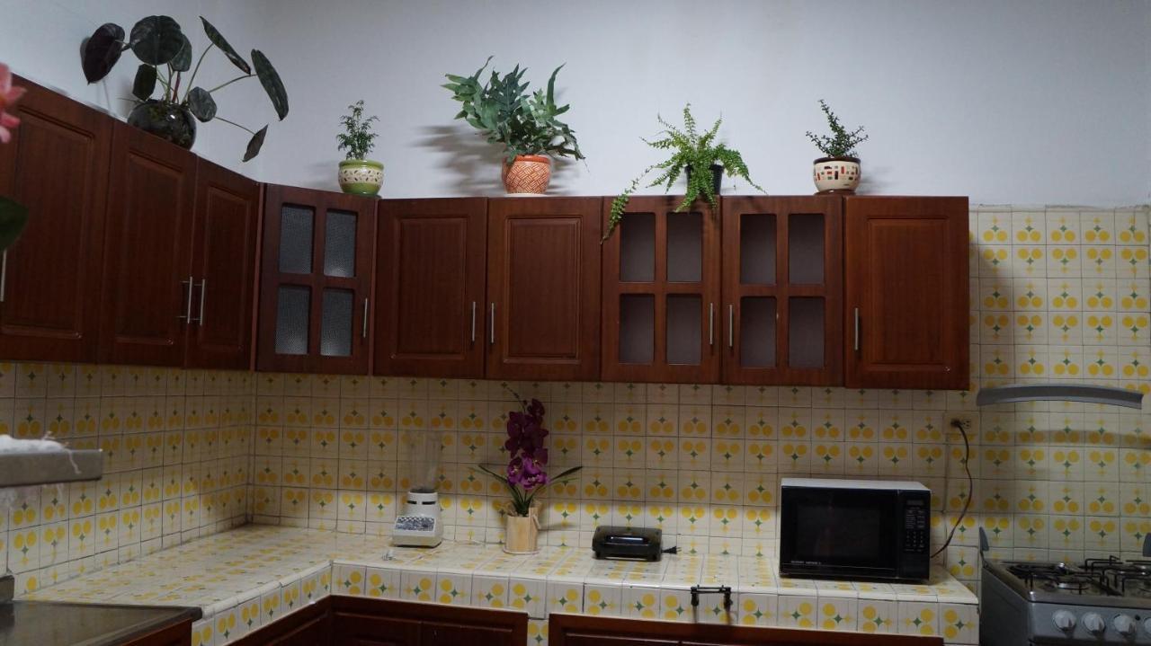 El Jardin De La 10 Pensión Medellín