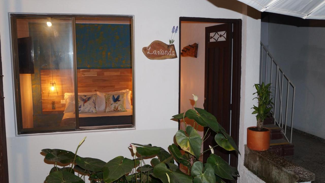 Pensión El Jardin De La 10 2*