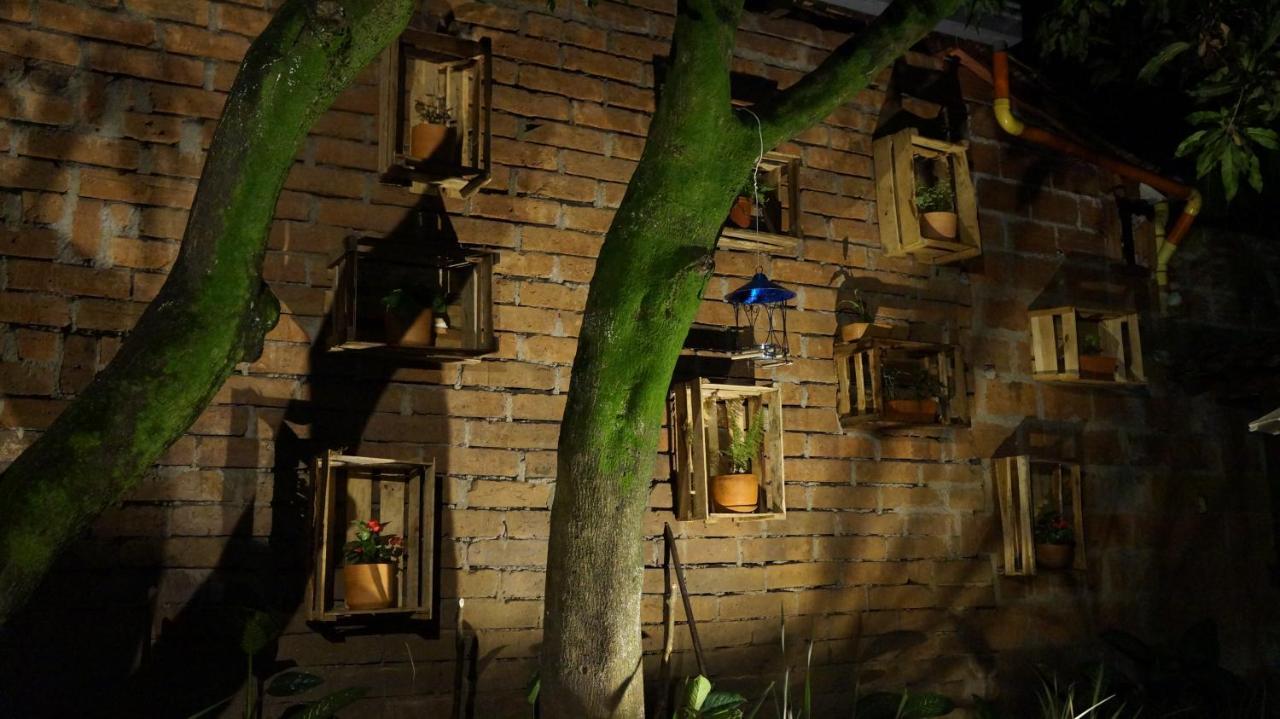 El Jardin De La 10