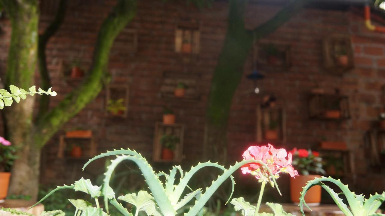 El Jardin De La 10 2*