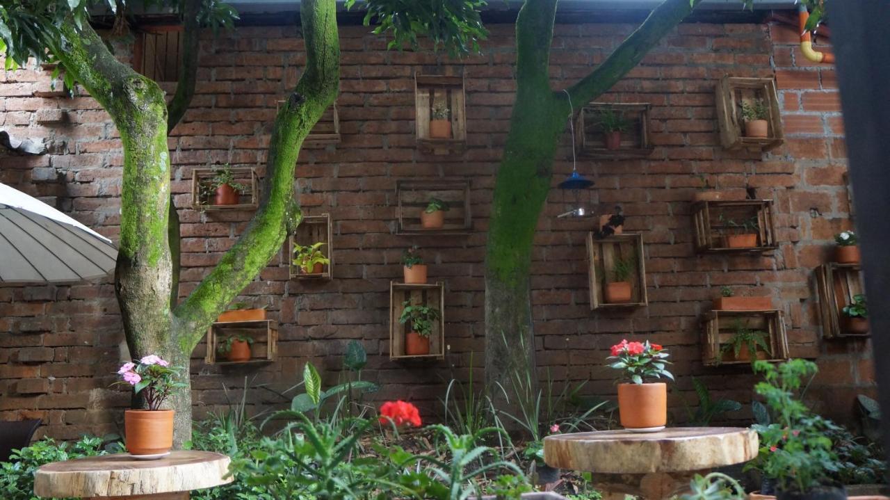 El Jardin De La 10 Pensión