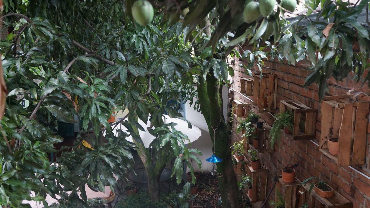 Pensión El Jardin De La 10 2*