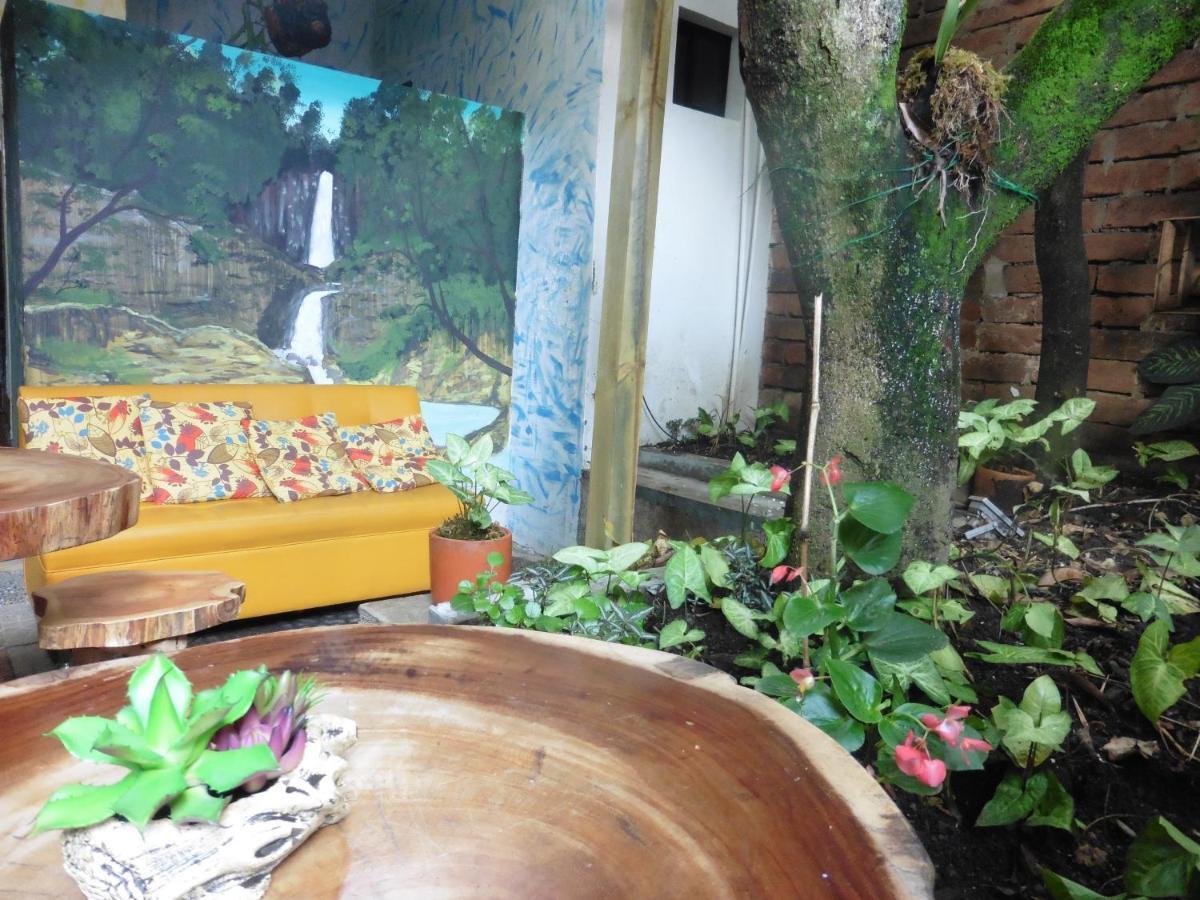 Pensión El Jardin De La 10 Medellín
