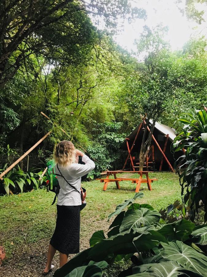 Lodge Bambú Glamping Ecolodge Medellín