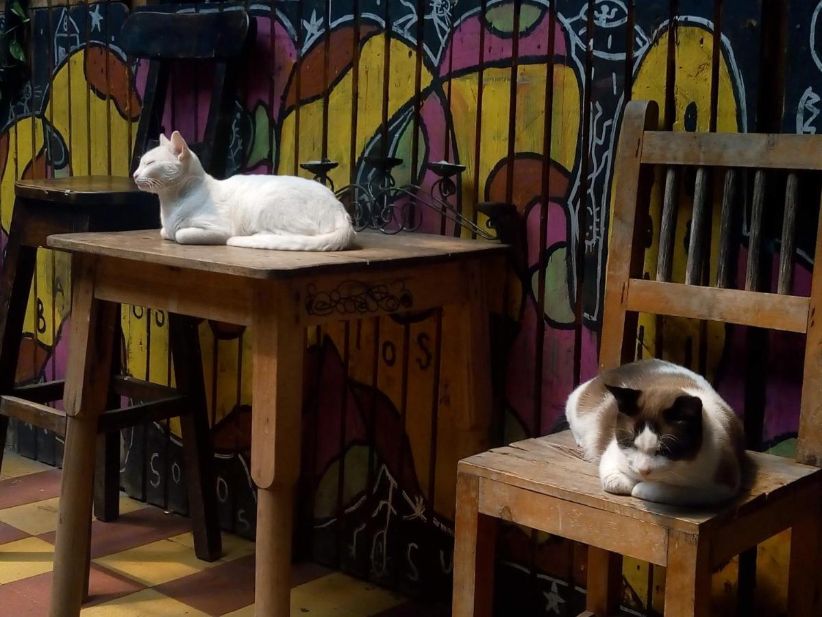 Casa De La Luna Habitación en casa particular Medellín