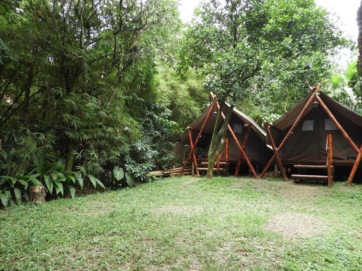 Bambú Glamping Ecolodge Lodge Medellín
