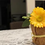 Apartamentos Excelente Ubicación