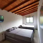 Mandala: Oasis De Paz Y Armonia