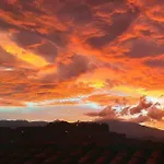 Terraza Y Vista, Poblado A 5Min.