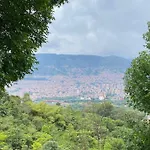 Gaston2
