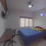 Habitacion Y Bano Privado Laureles Nogal