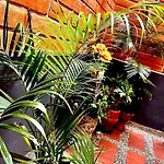 Casa Hotel Laureles