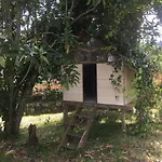 Espectacular Casa Finca En El Corazon De Santa Elena