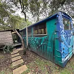 El Bus Del Bosque