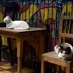 Casa de la Luna