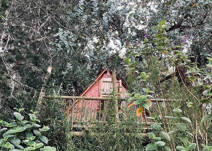 Santa Casa - El Chalet