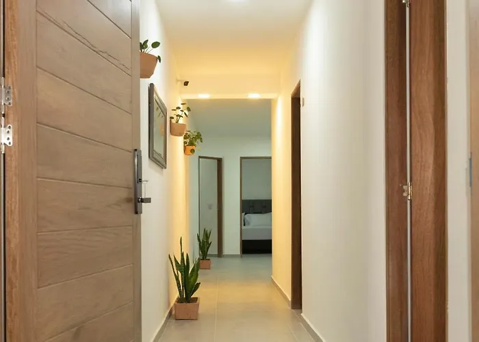 Madeira Boutique Hostel