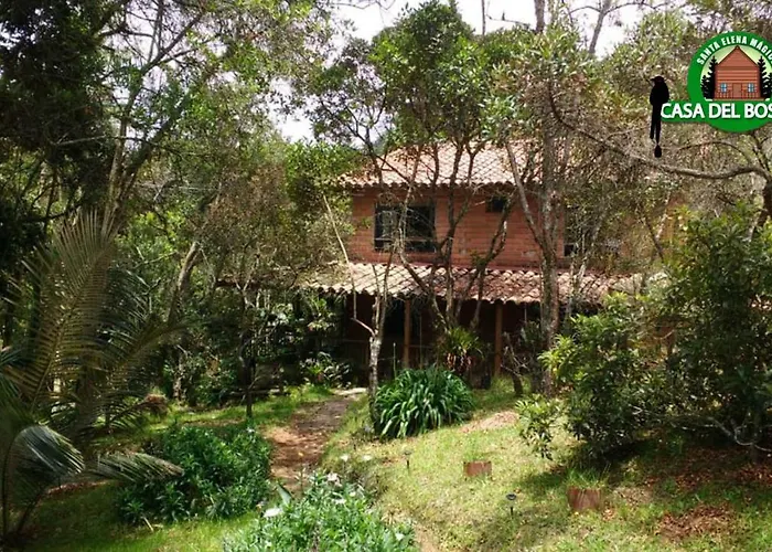 Casa Del Bosque
