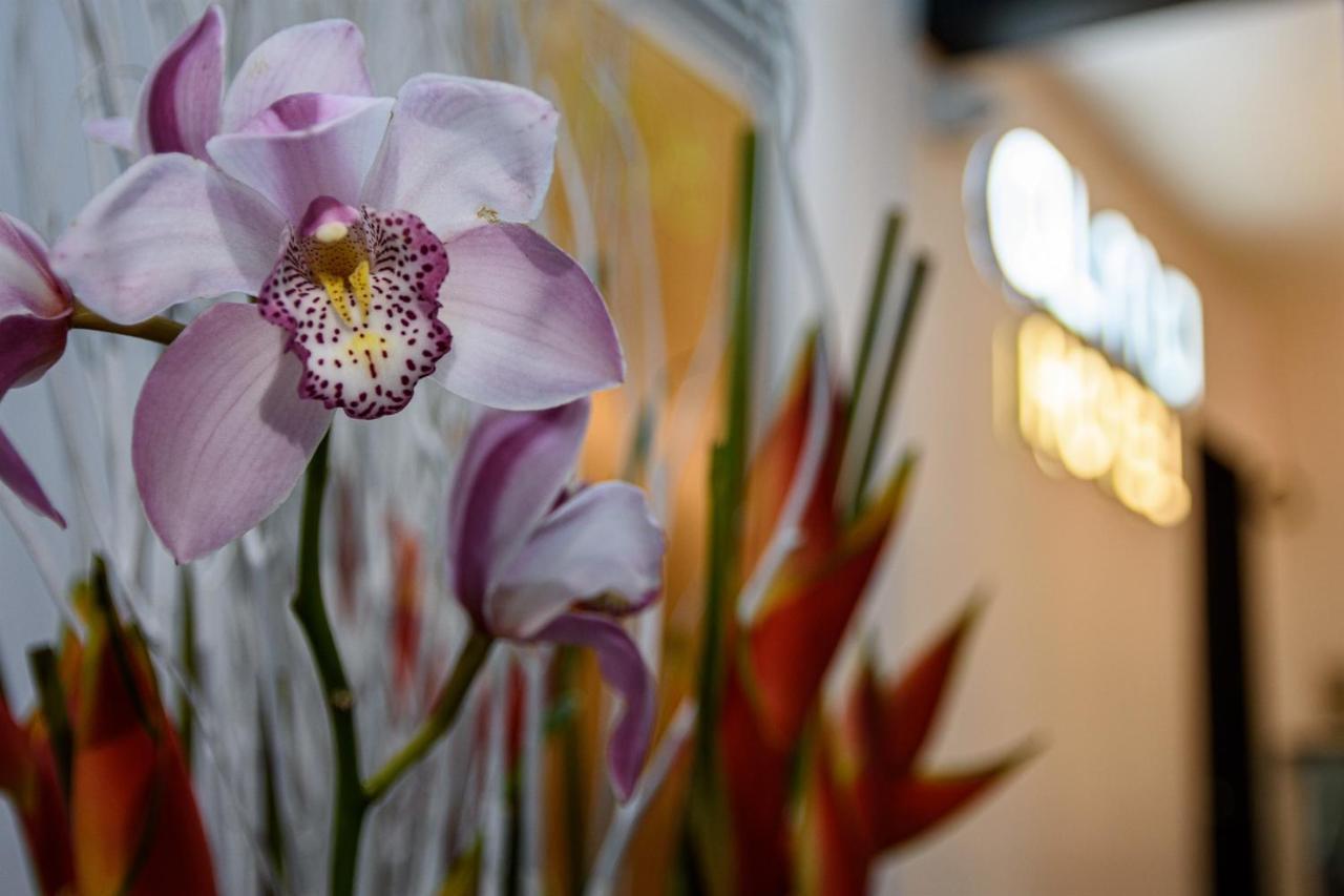 Alma Bed & Breakfast Medellin