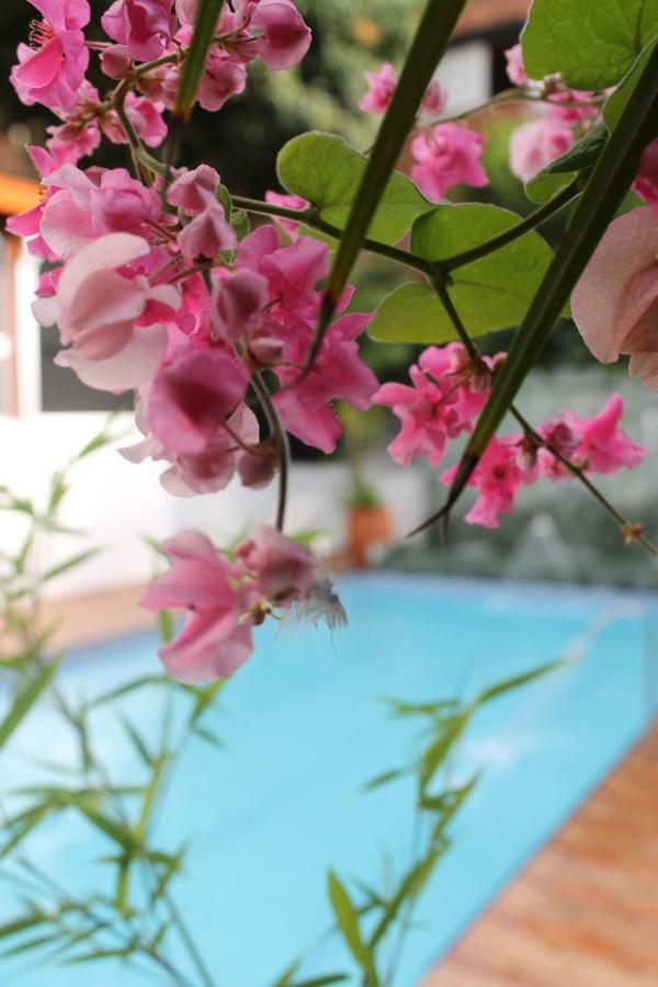 Boutique Rosas 5 G Hotel Medellín