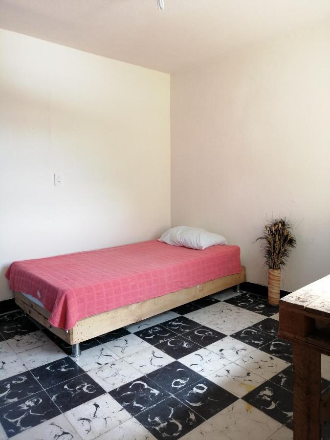 Hostal Selvática *
