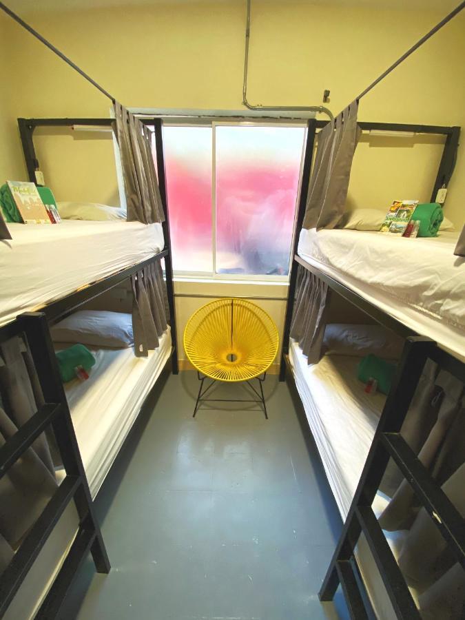 Hostel Nodo *