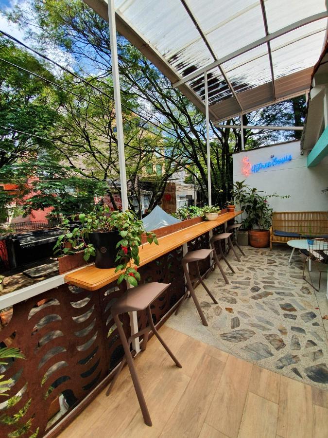Hostal La Playa Hostel&rooftop *