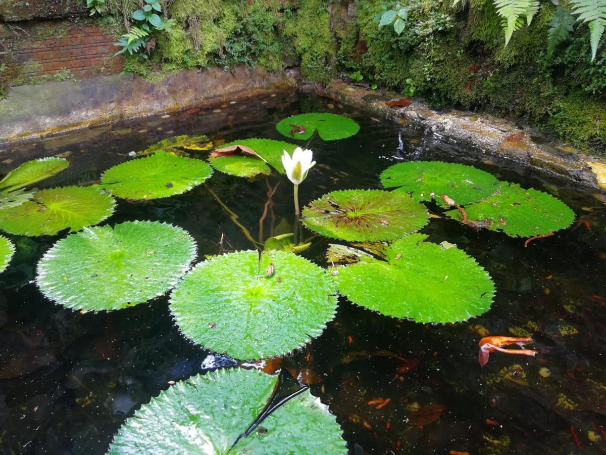The Secret Buddha Lodge