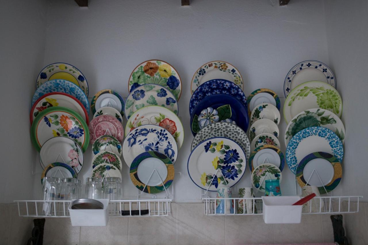 Hostal Florentina Symbiosis Medellín