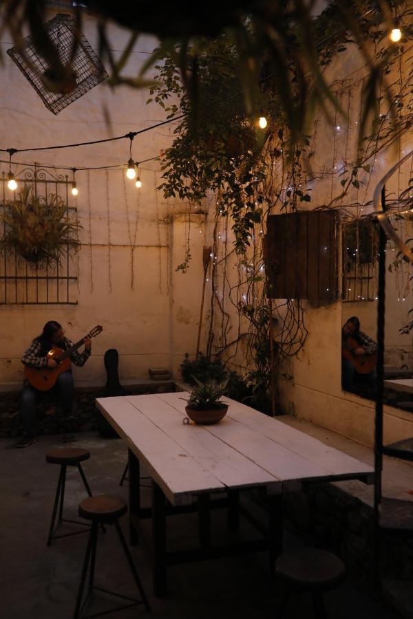 Florentina Symbiosis Hostal Medellín