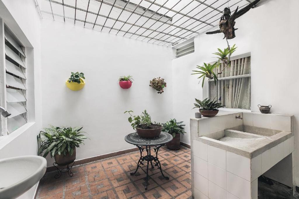 Hostal Florentina Symbiosis