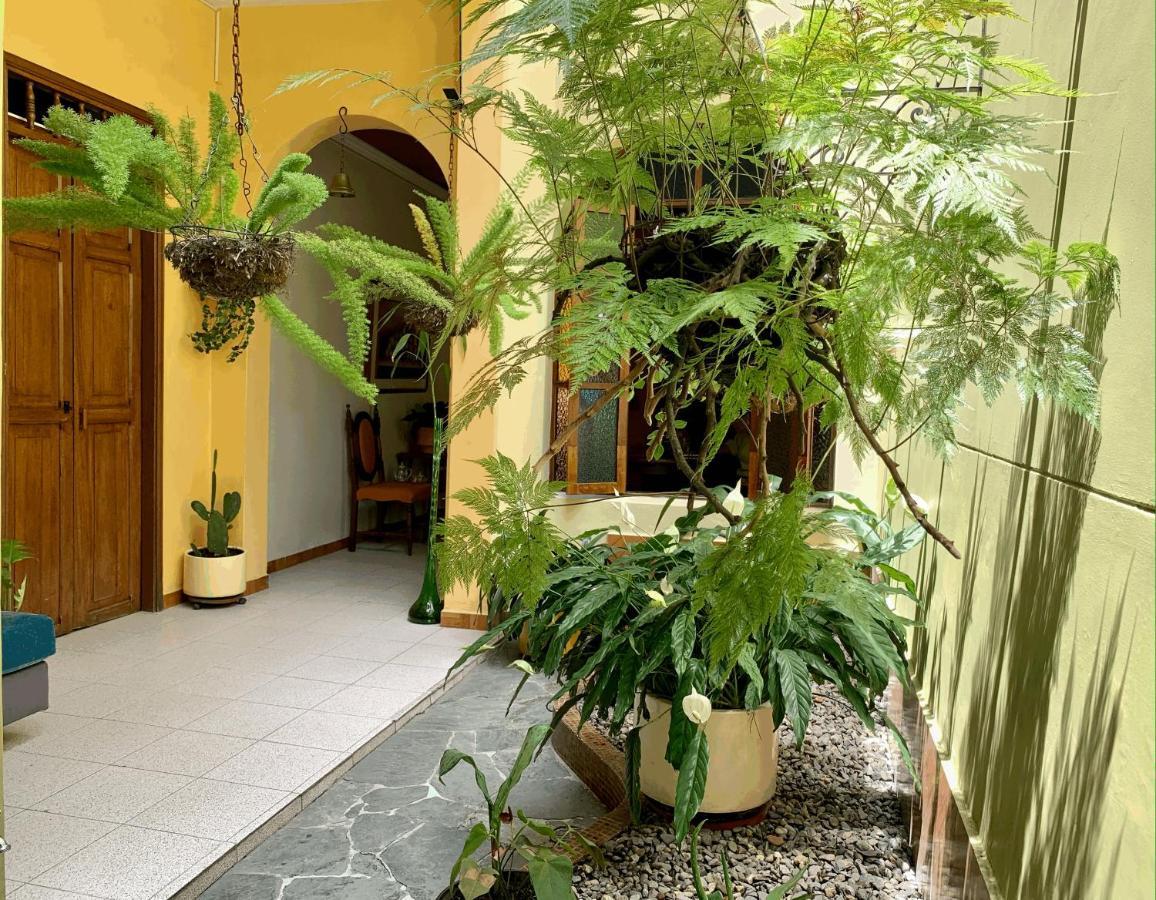 Casa Grande Habitación en casa particular