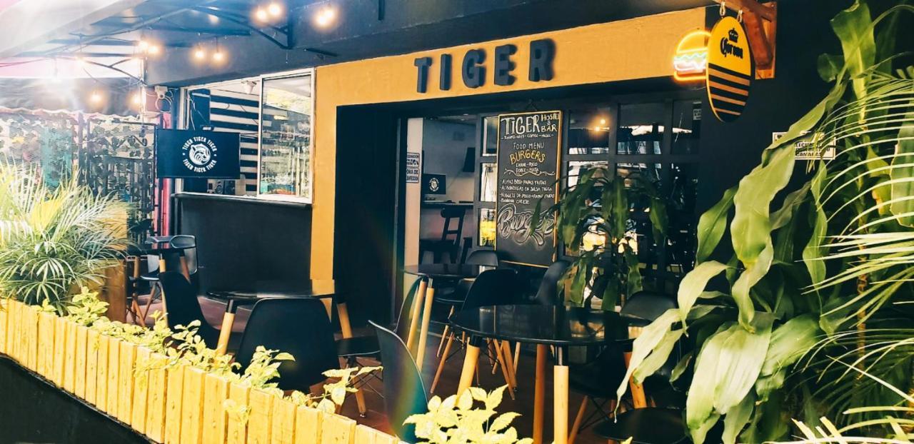 Tiger *