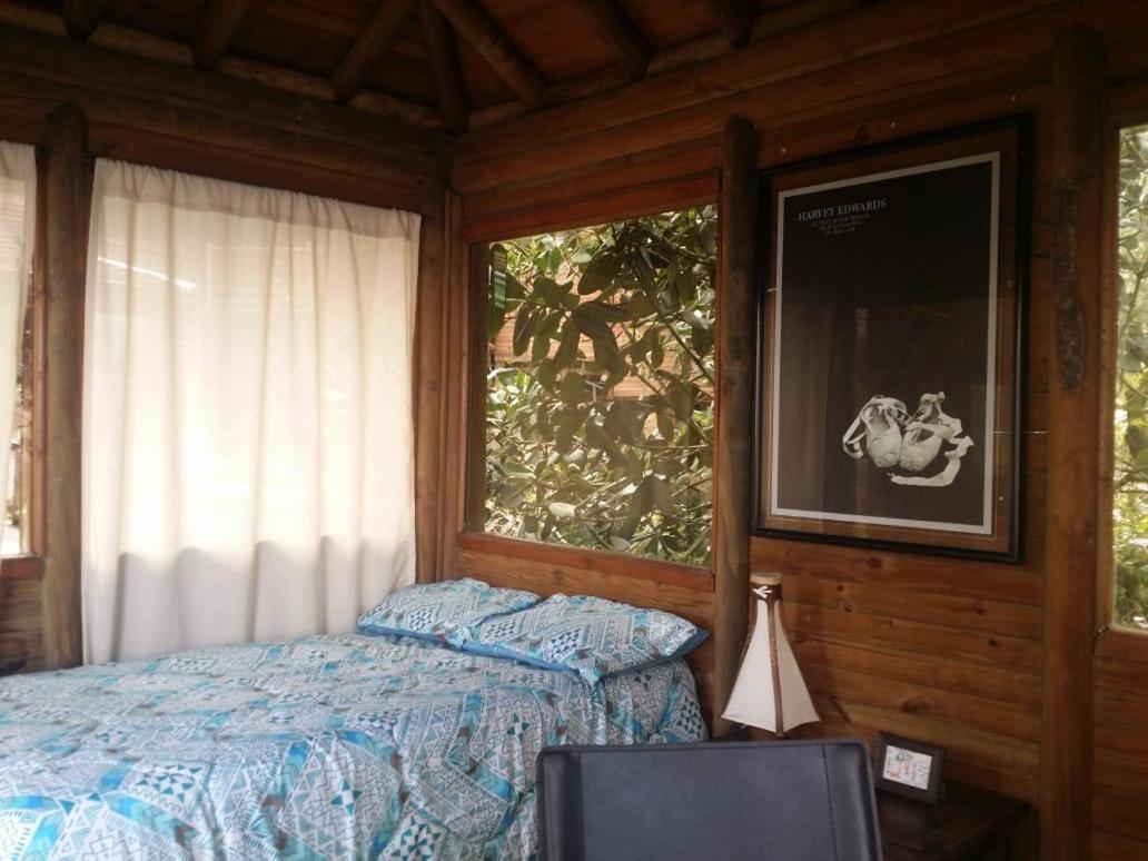 Pensión Patito Feo Hostel Medellín