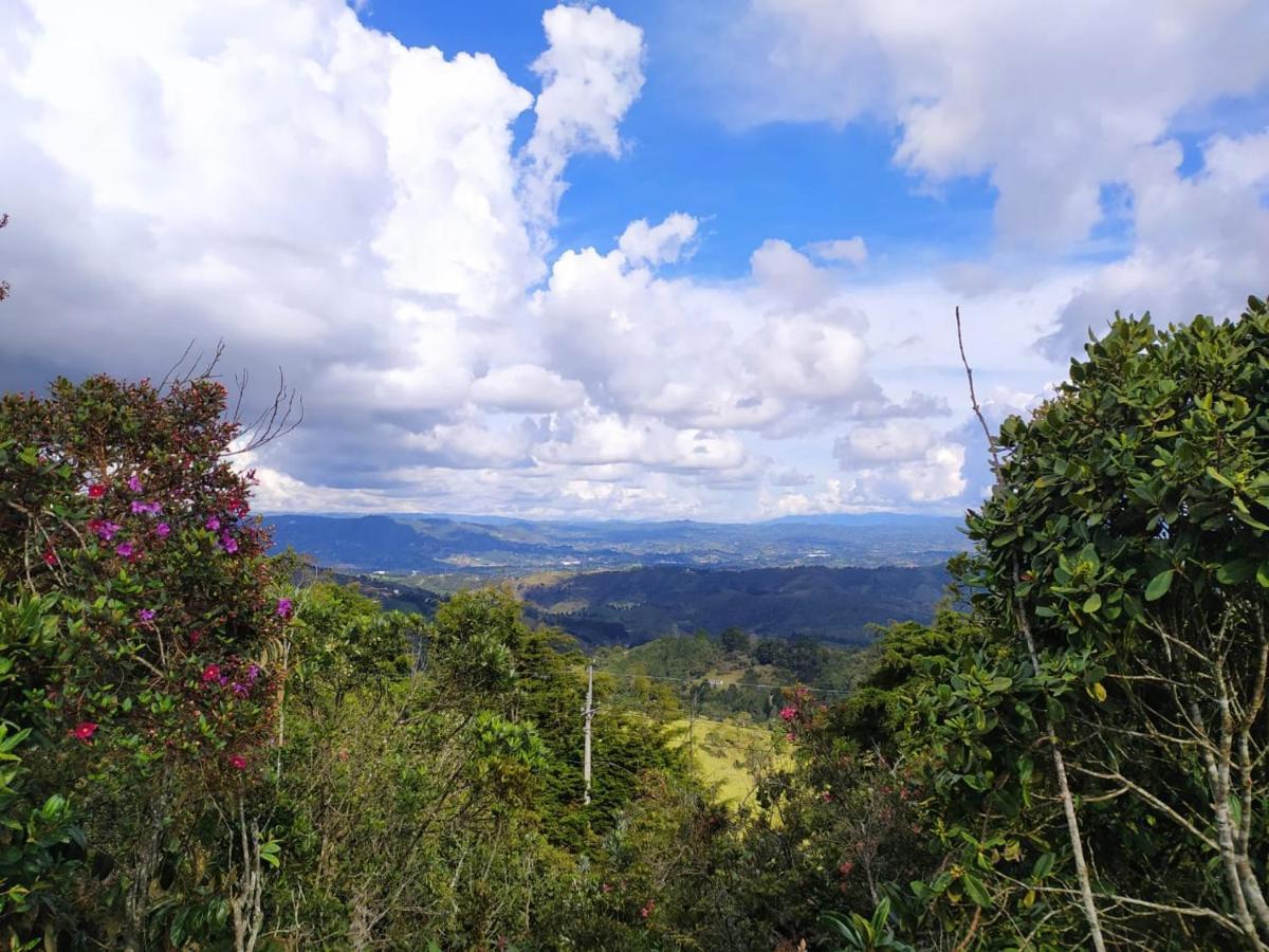 Camping Terravista