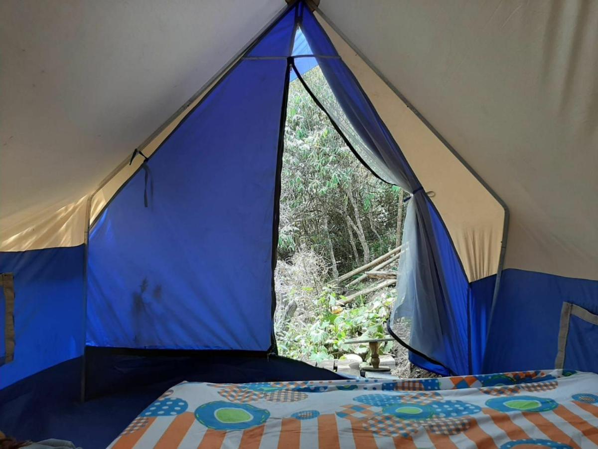 Granja Homestay *