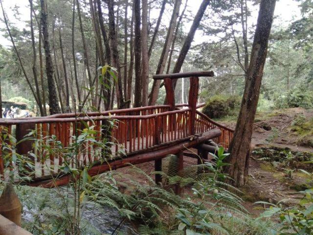 Granja Homestay Lodge *