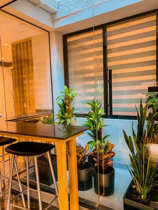 57 Garden Loft